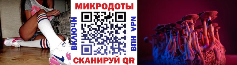 Купить закладки  Аргун  Псилоцибиновые грибы Psilocybe 